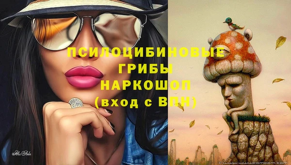 прущий лед Мегион